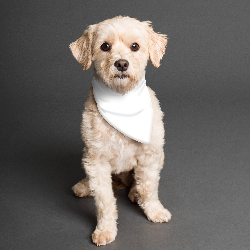 All-Over Print Pet's Scarf